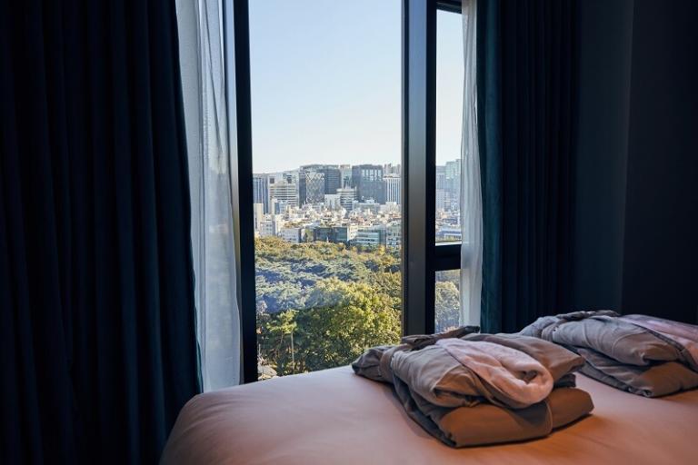 파노라믹 스위트